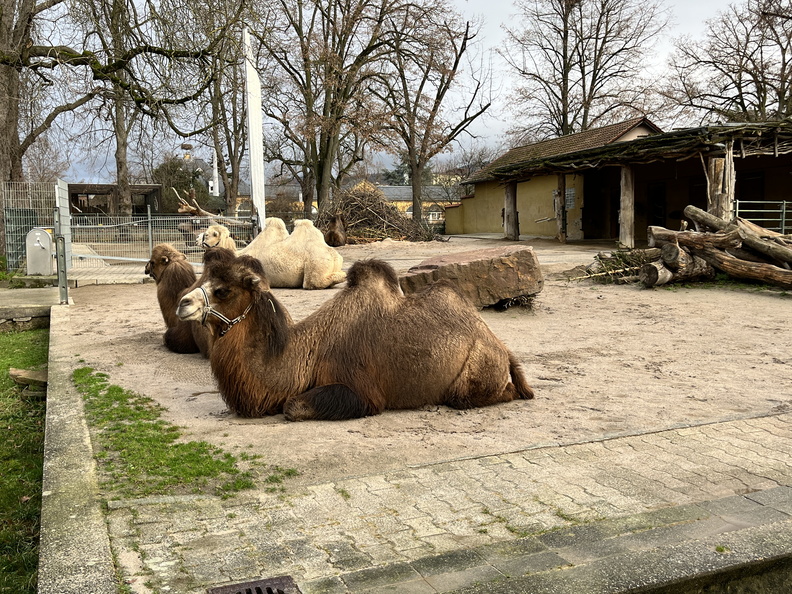 23-01-09 12-36-59 3875